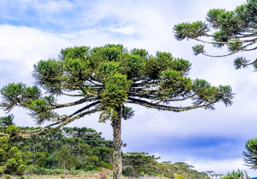 FOTO_2023_09_27-1-22-min